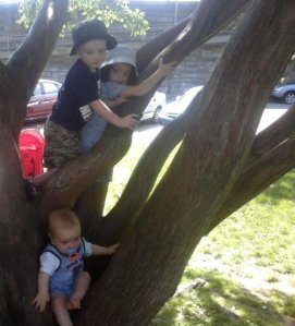Three in a tree