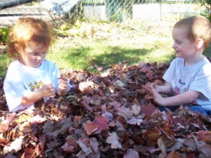 Leaf Pile