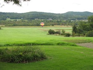 Landed in the fields