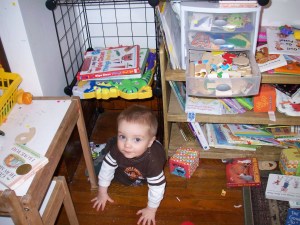 Hiding Under the New Shelves