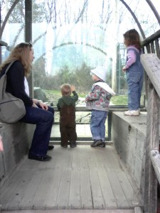 Aunt Cathy, Logan, Burke, & Maggie Here kitty kitty kitty