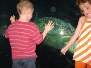 Burke, Maggie, and "Steve the Turtle"