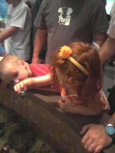 Is there anything in there?