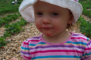 Strawberry ShortMaggie